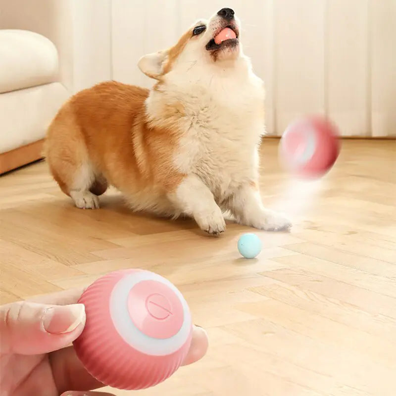 Electric Smart Puppy Ball Toy